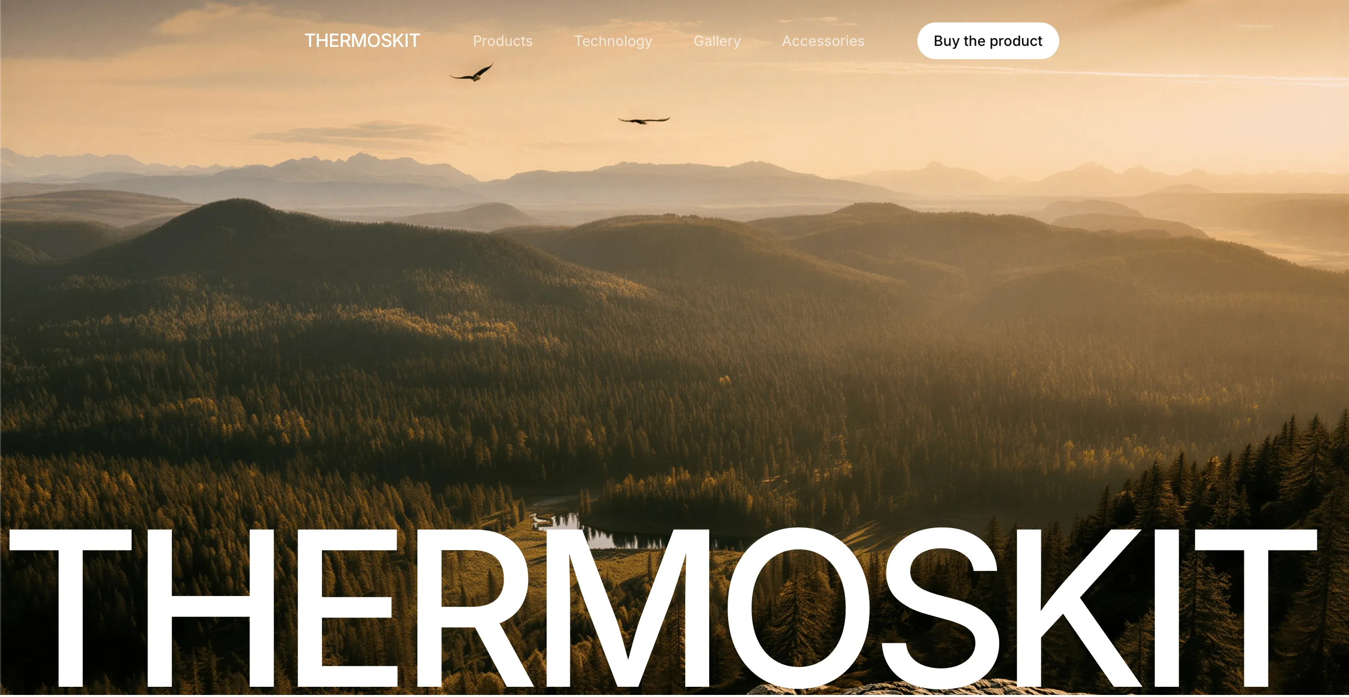 Thermoskit 产品网站项目预览。
