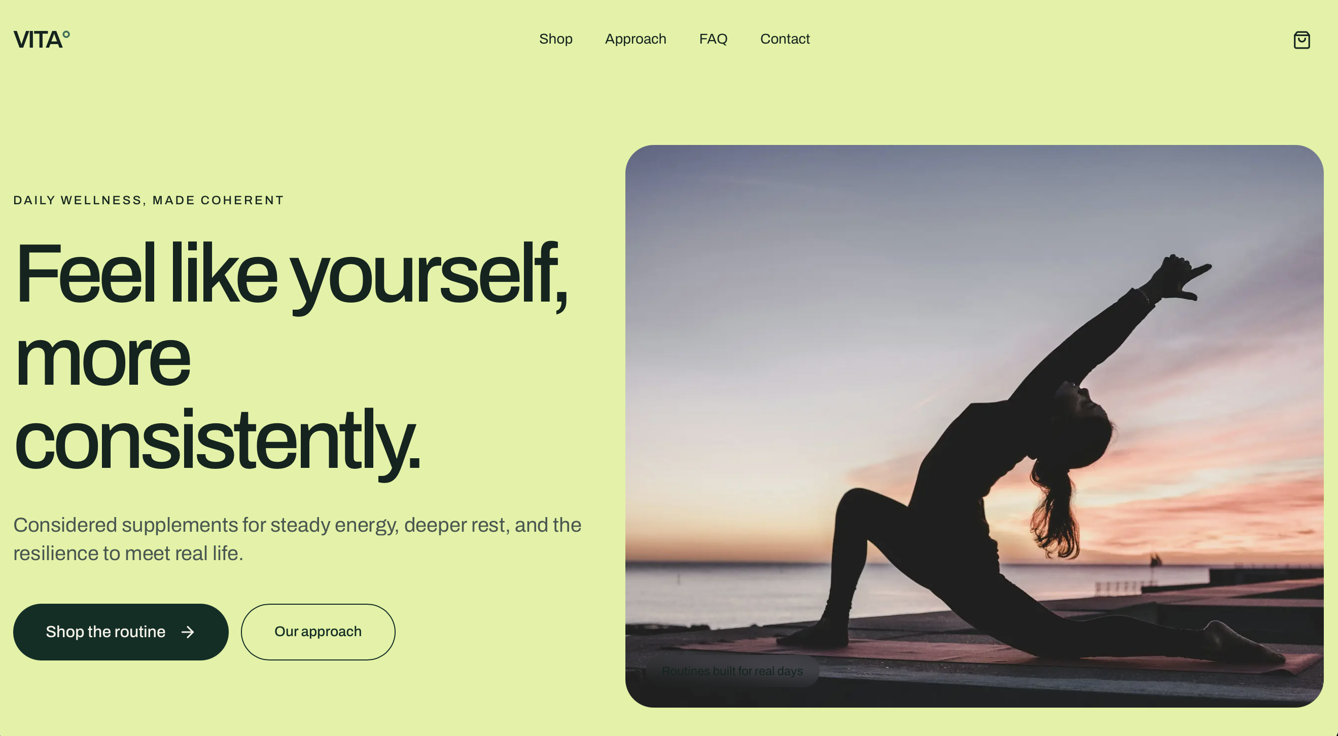 Vita Wellness